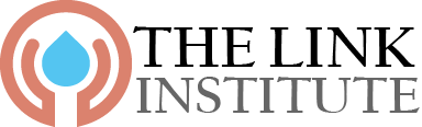 The Link Institute