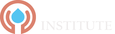 The Link Institute